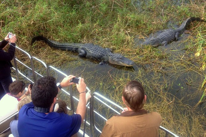 Florida Everglades Airboat Tour and Wild Florida Admission with Optional Lunch - Who should book this experience