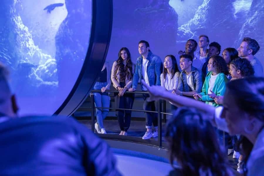Flyover in Chicago: An Immersive Flying Theatre Experience - The best time to fit Flyover into your Chicago day
