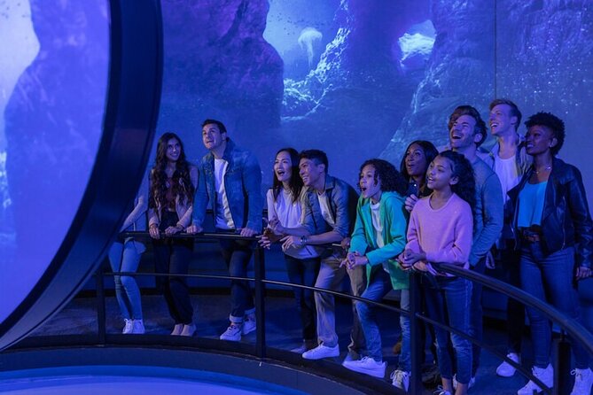 Flyover in Las Vegas: An Immersive Flying Ride Experience - Is $33 a Fair Price?