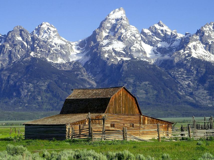 From Jackson: Half-Day Grand Teton National Park Tour - Why a four-hour Grand Teton tour works