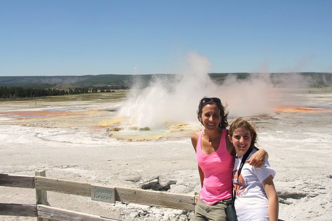 From Jackson Hole: Yellowstone Old Faithful, Waterfalls and Wildlife Day Tour - Hayden Valley and the wildlife search