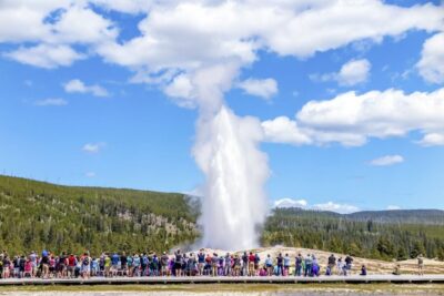 From Jackson: Yellowstone Day Tour Including Entrance Fee