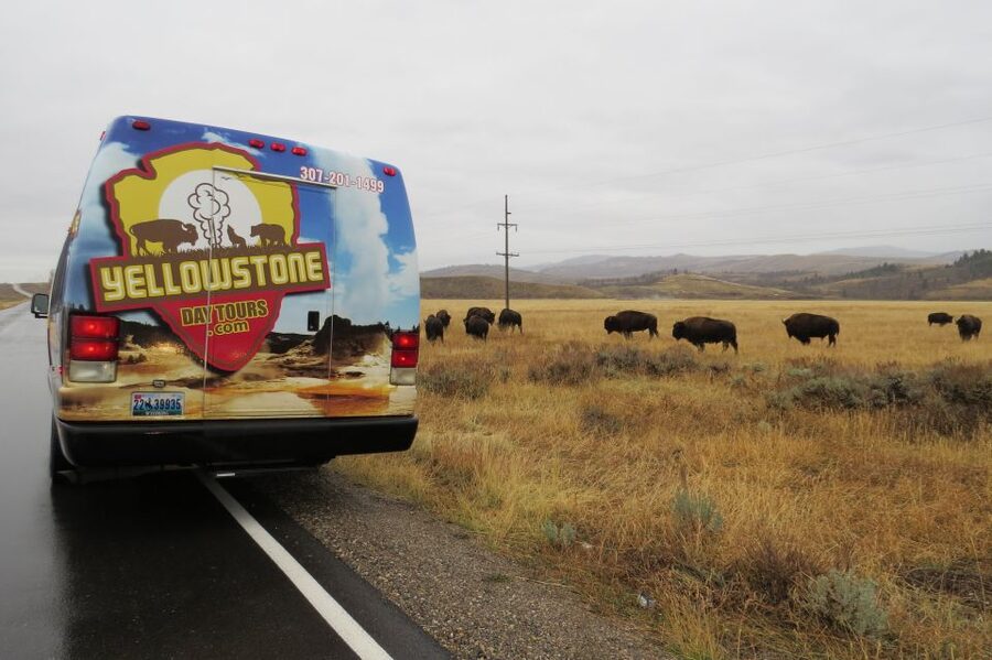 From Jackson: Yellowstone Day Tour Including Entrance Fee - Old Faithful, Yellowstone’s grand introduction