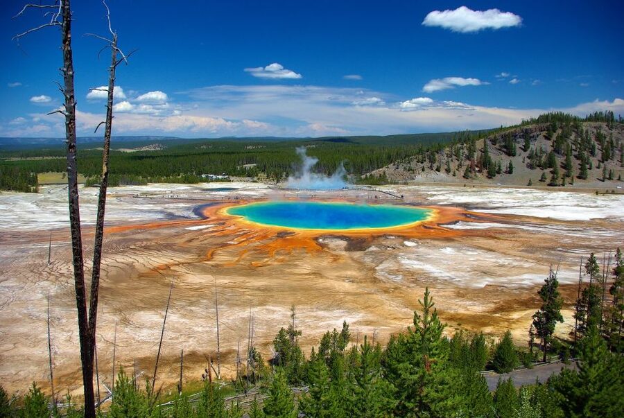 From Jackson: Yellowstone Day Tour Including Entrance Fee - Hayden Valley and the search for wildlife