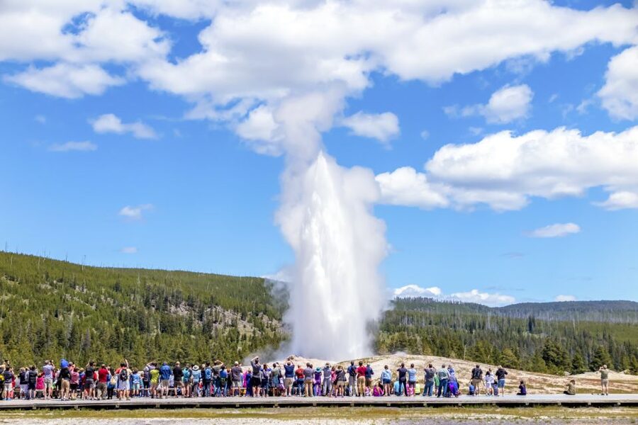 From Jackson: Yellowstone Day Tour Including Entrance Fee - An early start from Jackson or Teton Village