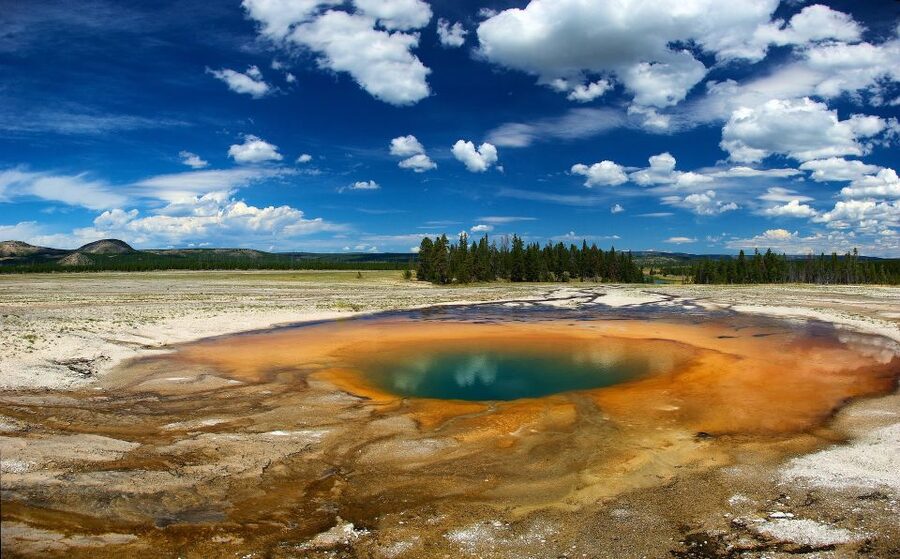 From Jackson: Yellowstone National Park Day Trip with Lunch - Key points to know before you book
