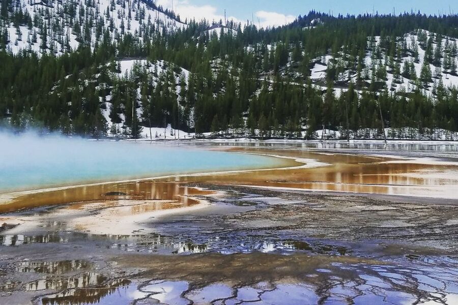 From Jackson: Yellowstone National Park Day Trip with Lunch - Why the guide matters so much