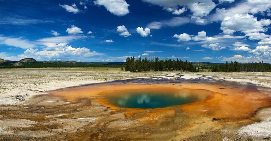 From Jackson: Yellowstone National Park Day Trip with Lunch - One huge day from Jackson to Yellowstone