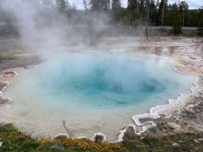 From Jackson: Yellowstone National Park Day Trip with Lunch