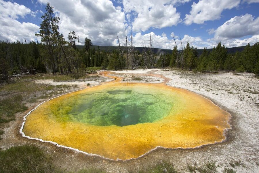 From Jackson: Yellowstone National Park Day Trip with Lunch - Yellowstone’s Grand Canyon and the Upper and Lower Falls