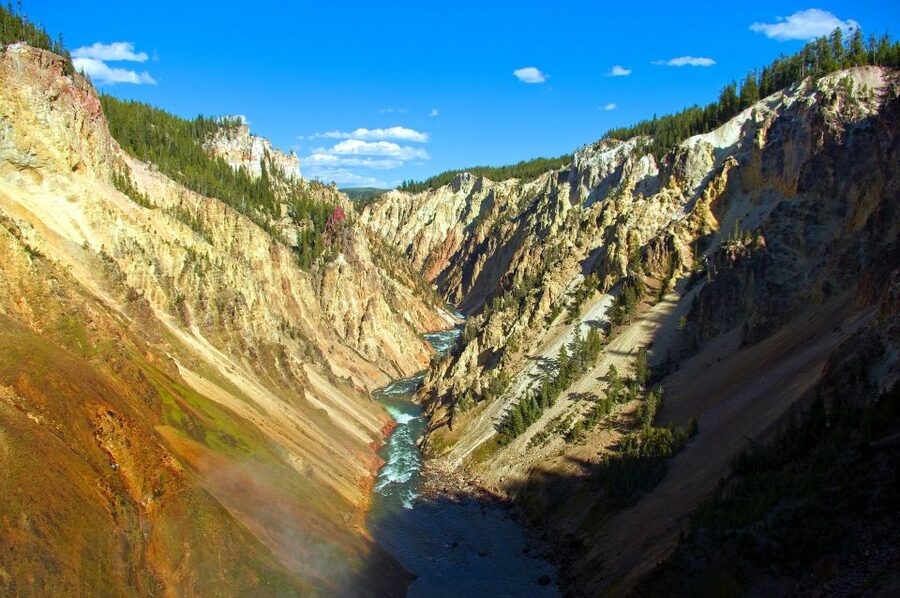 From Jackson: Yellowstone National Park Day Trip with Lunch - Lunch, snacks, and the practical comforts