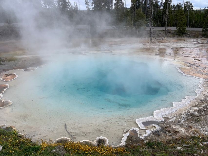 From Jackson: Yellowstone National Park Day Trip with Lunch - Crossing Grand Teton before Yellowstone