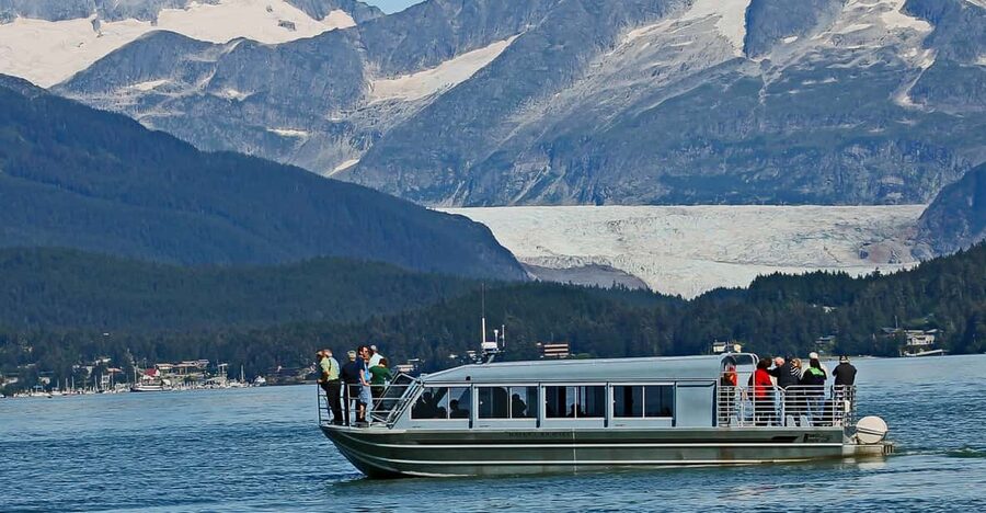 From Juneau: Whale Watching Cruise with Snacks - At a glance