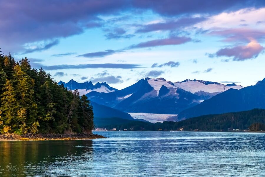 From Juneau: Whale Watching Cruise with Snacks - What this Juneau whale watching cruise is really like