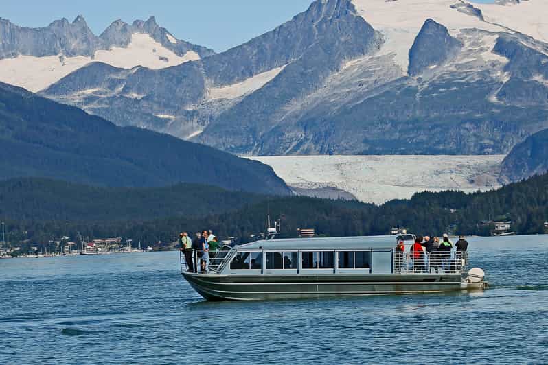 From Juneau: Whale Watching Cruise with Snacks - Finding humpbacks in Favorite Channel and Stephens Passage