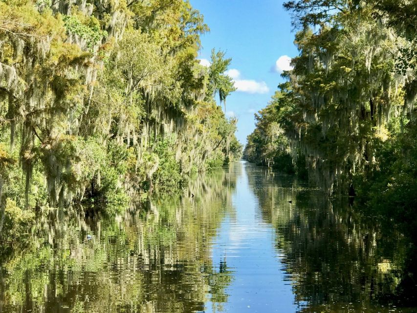 From Lafitte: Swamp Tours South of New Orleans by Airboat - Boat Size, Comfort, and Noise