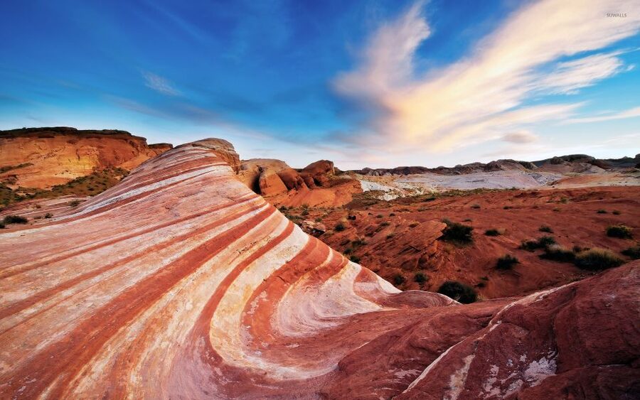 From Las Vegas: Valley of Fire State Park Tour - Petrified trees and the visitor center