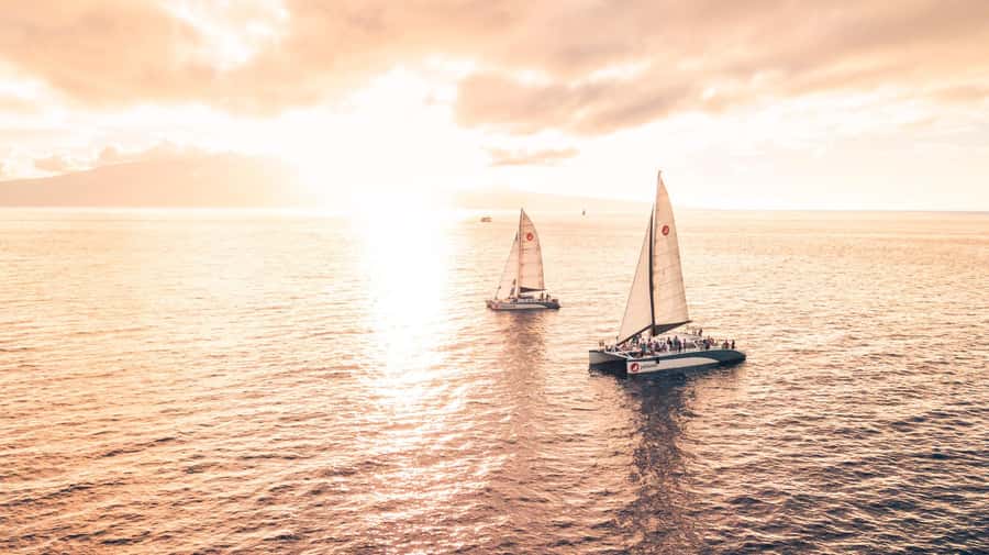 From Ma'alaea: 'Alihilani Sunset Sail Catamaran Tour - Why the crew matters so much