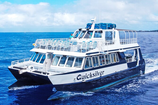 From Maalaea: Whale Watching Tour Aboard the Quicksilver - Quick facts about the Quicksilver whale watch