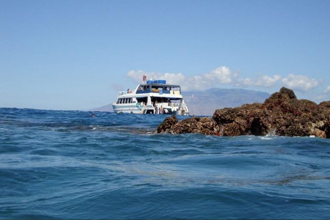 From Maalaea: Whale Watching Tour Aboard the Quicksilver - Family comfort and onboard extras