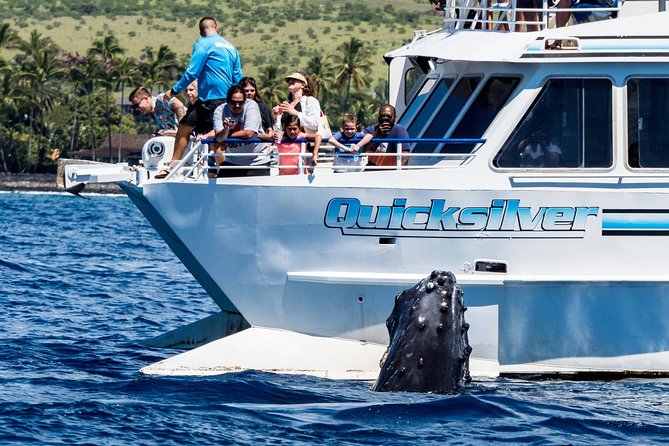 From Maalaea: Whale Watching Tour Aboard the Quicksilver - What the hydrophones add