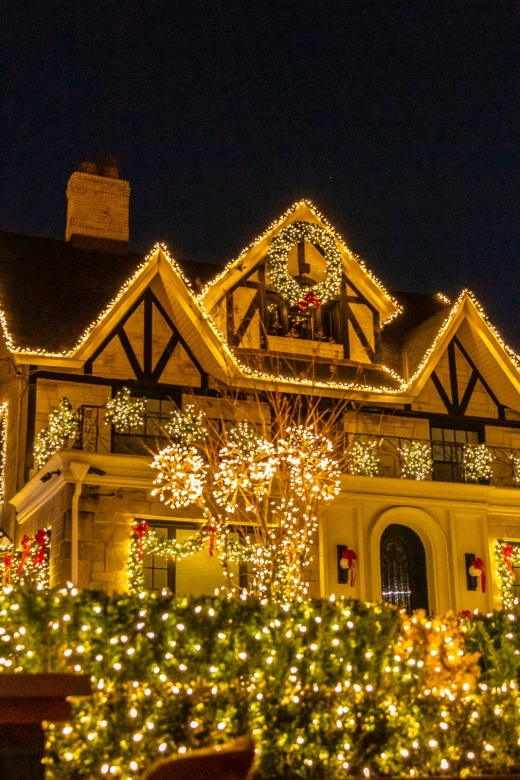 From Manhattan: 4-Hour Dyker Heights Holiday Lights Bus Tour - Who will enjoy this outing most