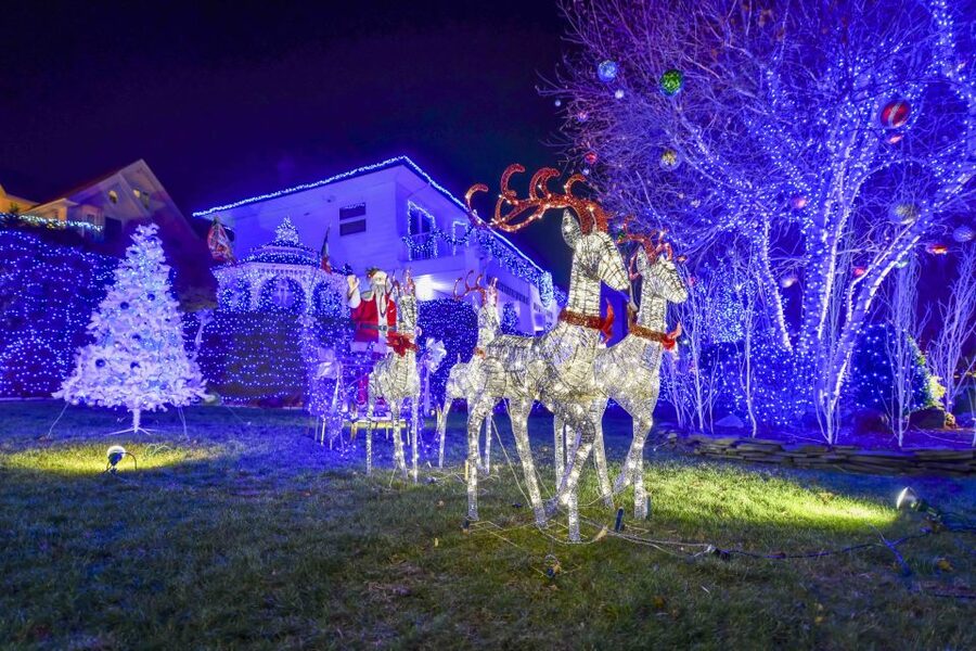 From Manhattan: Dyker Heights Lights & Skyline Tour - Walking through Dyker Heights after dark