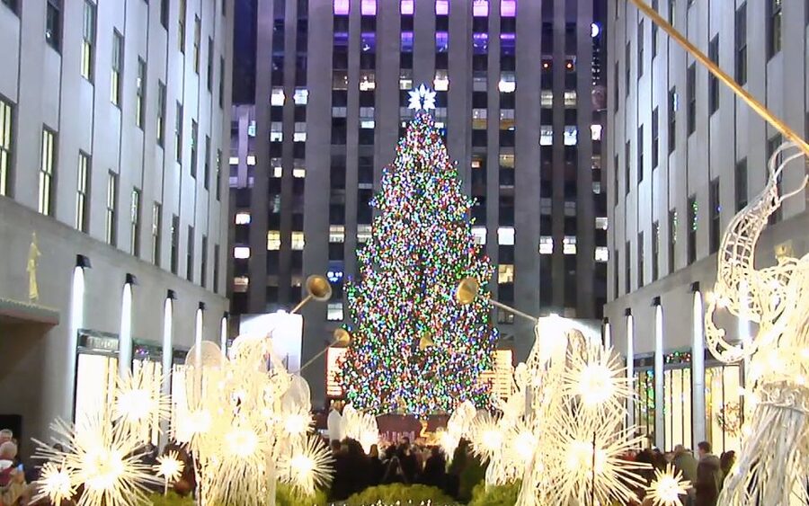 From Manhattan: Dyker Heights Lights & Skyline Tour - Who should book this holiday outing?