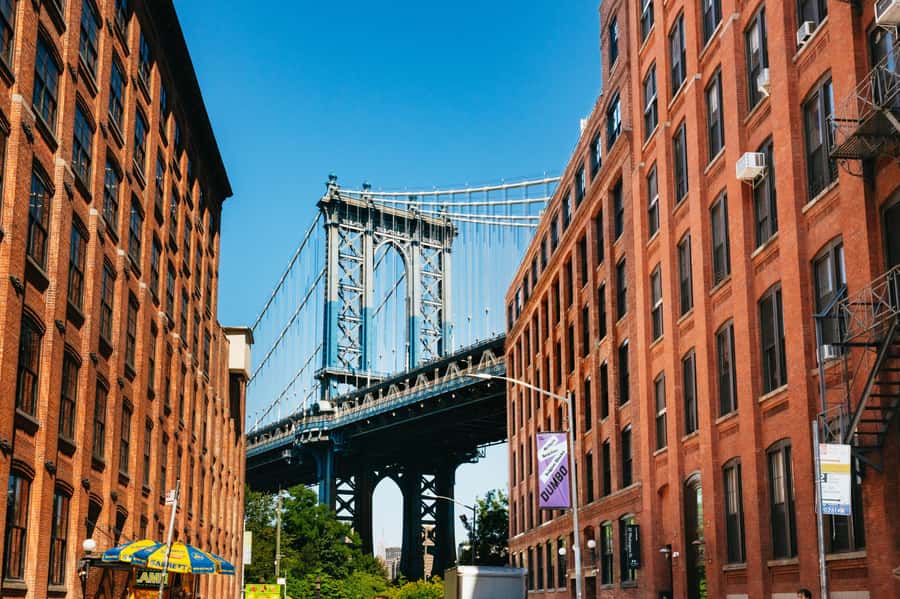 From Manhattan: Full-Day NYC Boroughs and Coney Island Tour - A fast way to see New York beyond Manhattan