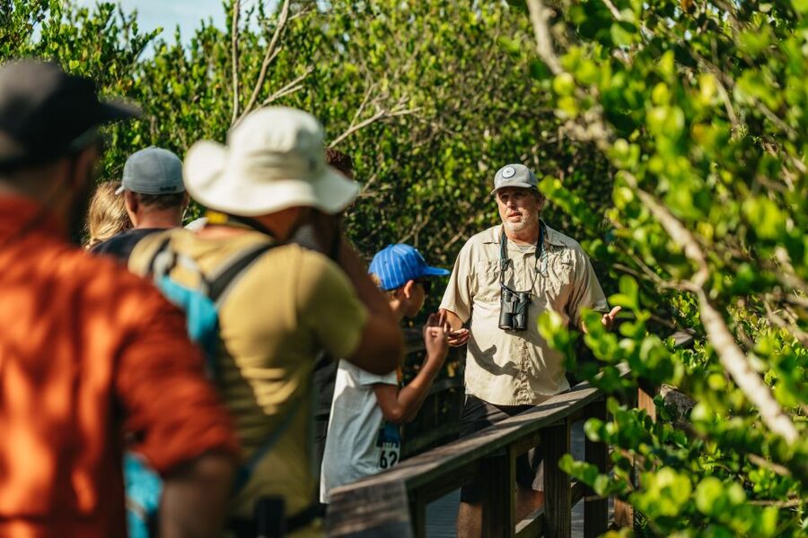 From Miami: Everglades Airboat Ride and Nature Walk - Why this Everglades tour is different