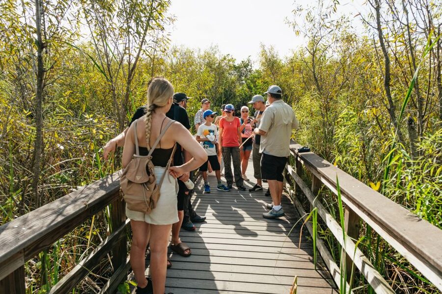 From Miami: Everglades Airboat Ride and Nature Walk - Should you book the Everglades airboat and nature walk?