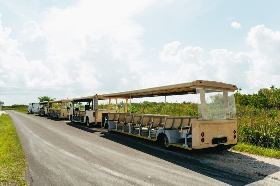 From Miami: Everglades Airboat Ride and Nature Walk - Pickup from Miami or Fort Lauderdale