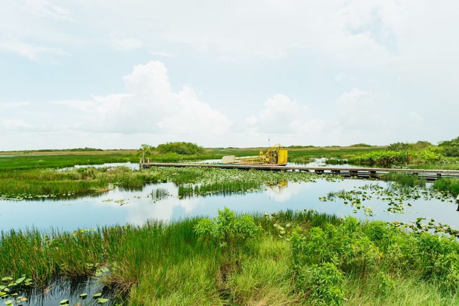 From Miami: Everglades Airboat Ride and Nature Walk - The airboat ride across sawgrass and open water
