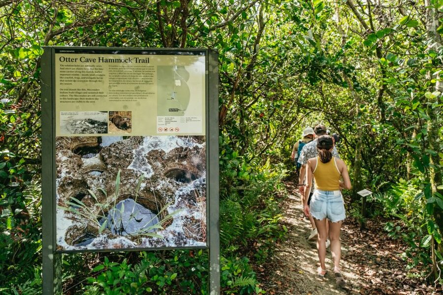 From Miami: Everglades Airboat Ride and Nature Walk - Is $189 a fair price?