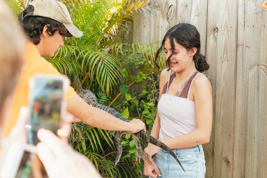 From Miami: Everglades Airboat, Wildlife Show & Bus Transfer - What happens at Everglades Holiday Park