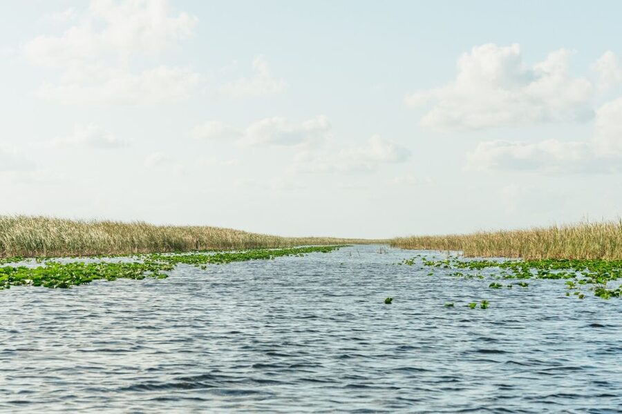 From Miami: Everglades Airboat, Wildlife Show & Bus Transfer - Why the free photo and guide quality matter