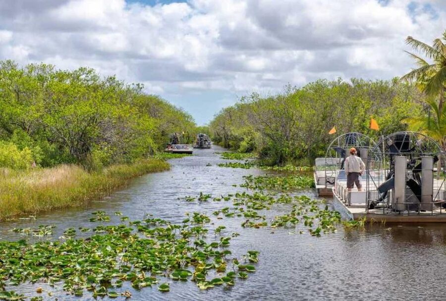 From Miami: Everglades Wildlife Show, Airboat & Bus Transfer - The optional Miami bus tour