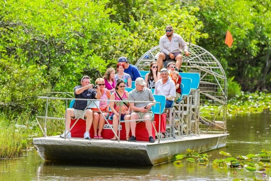 From Miami: Everglades Wildlife Show, Airboat & Bus Transfer - Value, comfort, and who should book