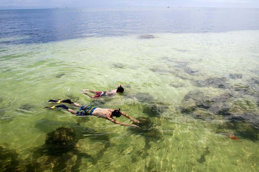 From Miami: Key West Day Tour by Motor Coach Bus - What the $62 price really covers