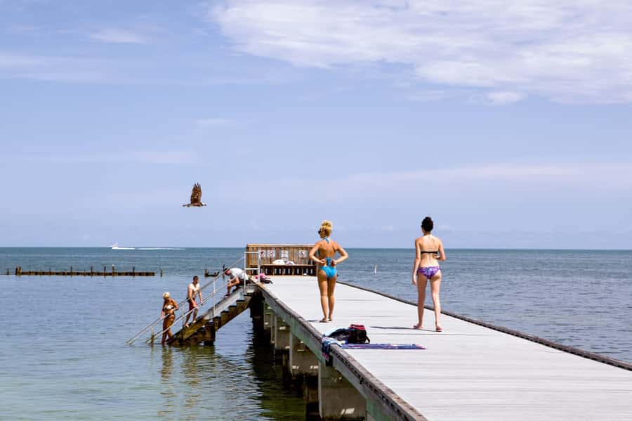 From Miami: Key West Day Tour by Motor Coach Bus - Who will get the most from this day trip