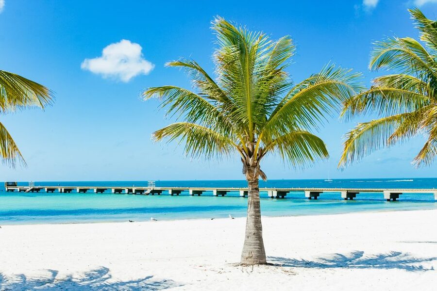 From Miami: Key West Day Trip - Key points at a glance