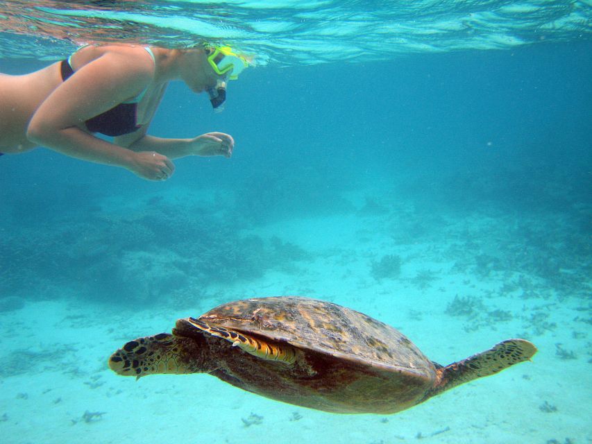 From Miami: Key West Day Trip - Choosing snorkeling, parasailing, or a boat ride