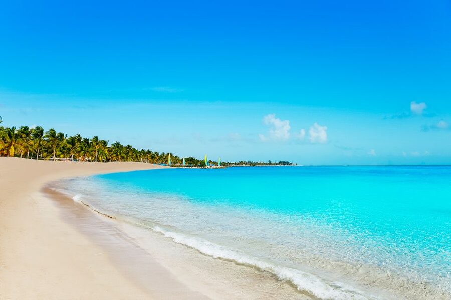 From Miami: Key West Day Trip - Is $75 a fair price?