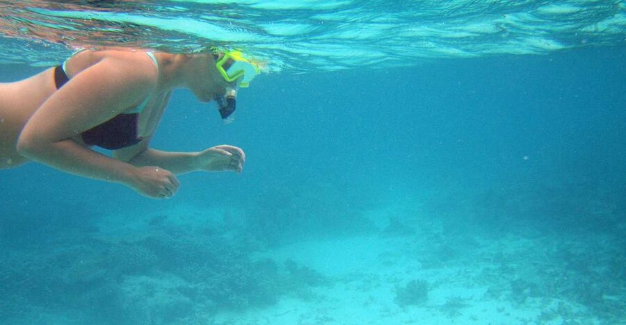 From Miami: Key West Day Trip - Should you book it?