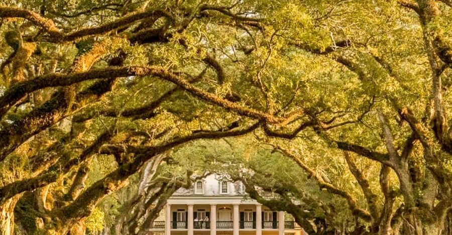 From New Orleans: Oak Alley Plantation Tour - Why Oak Alley’s entrance makes the trip worthwhile