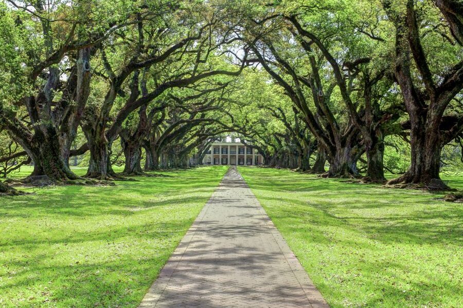 From New Orleans: Oak Alley Plantation Tour - The slave quarters and the wider story