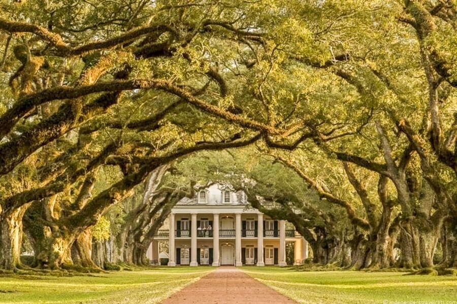 From New Orleans: Oak Alley Plantation Tour - Antique machinery and the self-guided grounds