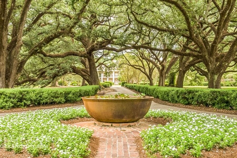From New Orleans: Oak Alley Plantation Tour - The 70 to 75 minute ride from New Orleans