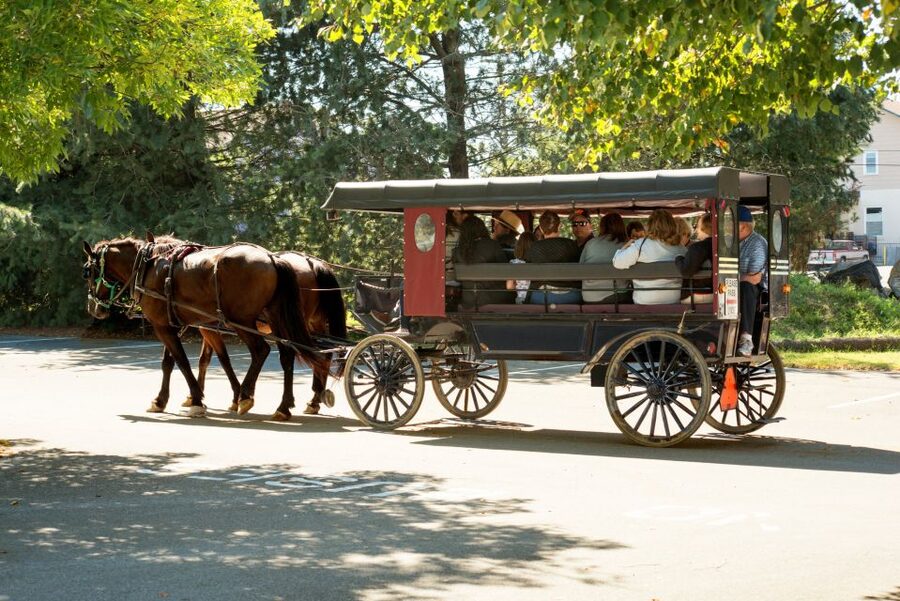 From NYC: Day Trip to Philadelphia and Amish Country - Lancaster County and the Amish market