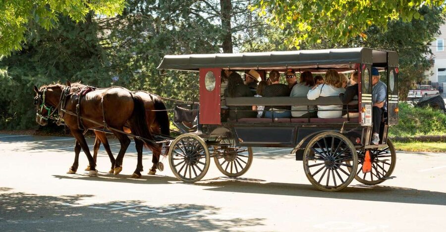 From NYC: Day Trip to Philadelphia and Amish Country - Starting before sunrise from New York